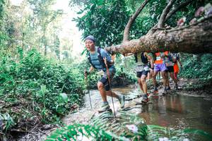 BIB: 
                            <button type="button" onclick="openModal(25458477)" class="btn btn-primary btn-sm float-right btn-popup" data-toggle="modal" data-target=".modal-high-quality">
                        <i class="fas fa-shopping-cart"></i> Add to Cart
                    </button>
                                            <button type="button" onclick="isThisMe(25458477, true)" class="btn btn-success btn-sm float-right btn-popup btn-isme hidden" data-toggle="tooltip" data-placement="bottom" title="นี่คือรูปของคุณใช่ไหม คลิกที่นี่เพื่อเอาเข้าอัลบั้ม">
                        <i class="fas fa-plus"></i> Add to album
                    </button>
                    <button type="button" onclick="isThisMe(25458477, false)" class="btn btn-warning btn-sm float-right btn-popup btn-isnotme hidden">
                        <i class="fas fa-ban"></i> Remove from album
                    </button>